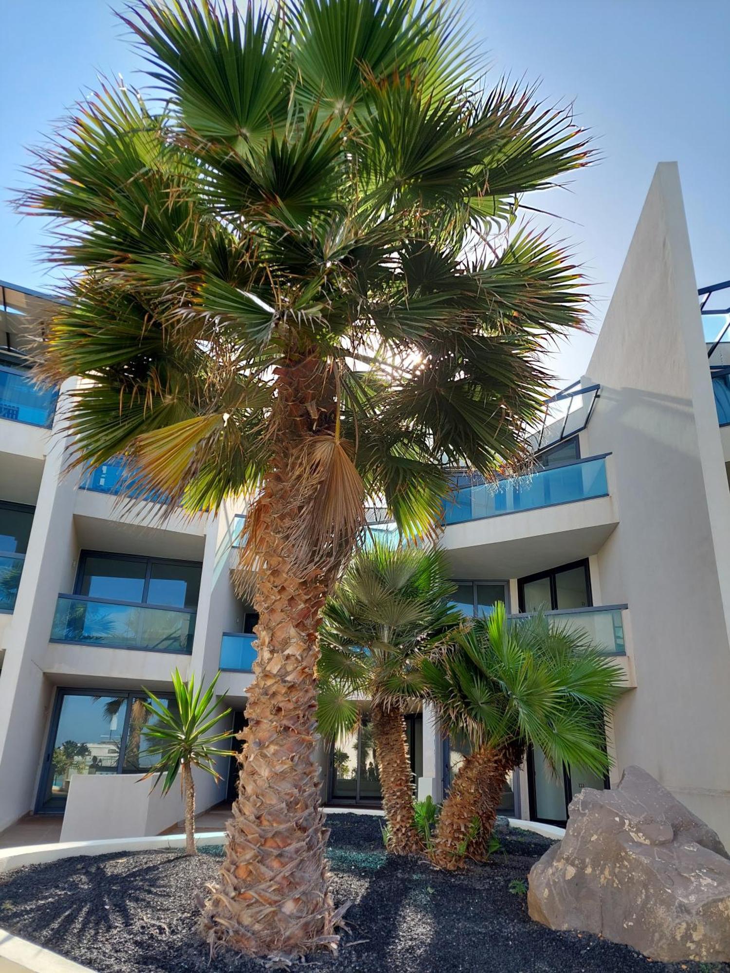 Sunset Spot Fuerteventura Cotillo Seaviews Premium Exterior photo